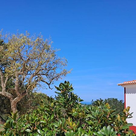 Отель Monte Da Silveira Сан-Теотониу Экстерьер фото
